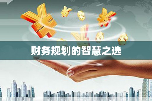 安吉财务规划的智慧之选