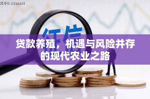 安吉贷款养殖，机遇与风险并存的现代农业之路
