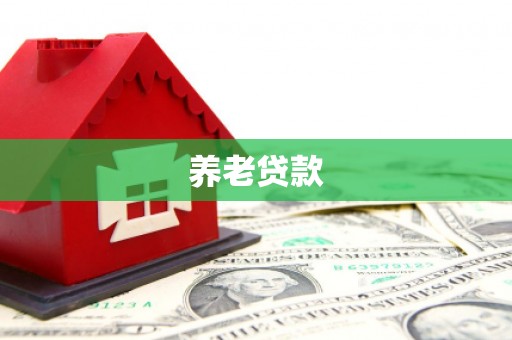 安吉养老贷款