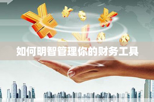 安吉如何明智管理你的财务工具