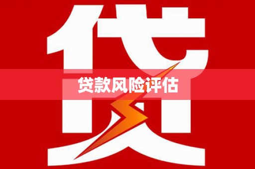安吉贷款风险评估