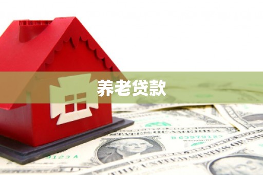 安吉养老贷款
