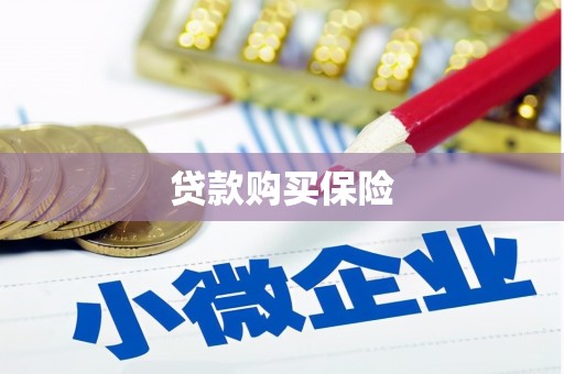 安吉贷款购买保险