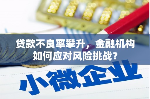 安吉贷款不良率攀升，金融机构如何应对风险挑战？