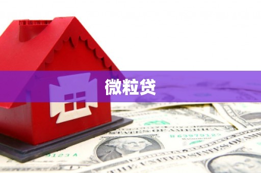 安吉微粒贷