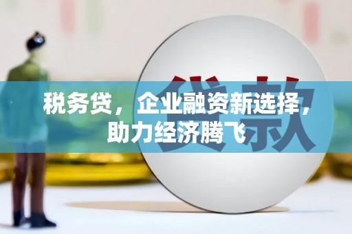 安吉税务贷，企业融资新选择，助力经济腾飞