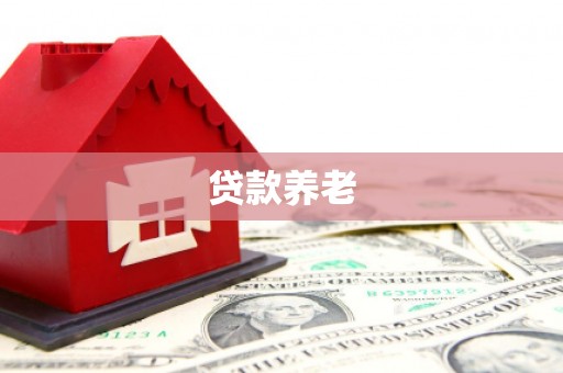 安吉贷款养老