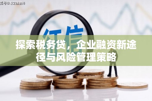 安吉探索税务贷，企业融资新途径与风险管理策略