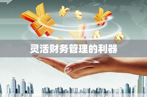 安吉灵活财务管理的利器