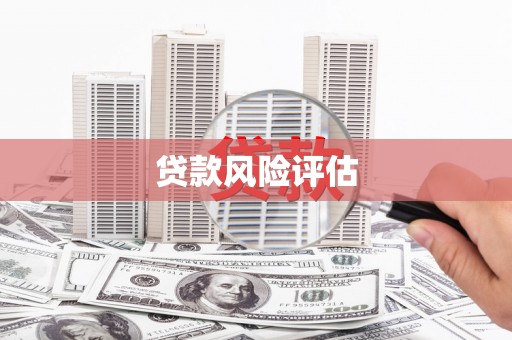 安吉贷款风险评估
