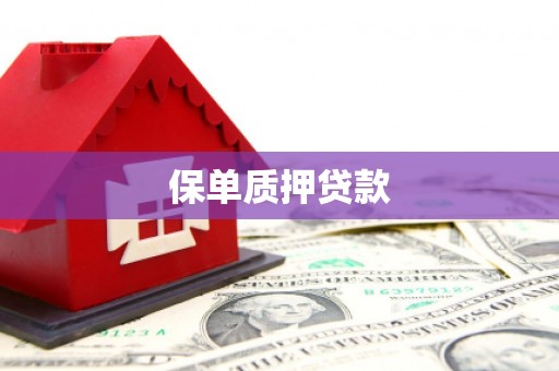 安吉保单质押贷款