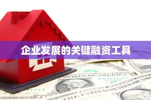 安吉企业发展的关键融资工具