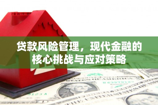 安吉贷款风险管理，现代金融的核心挑战与应对策略