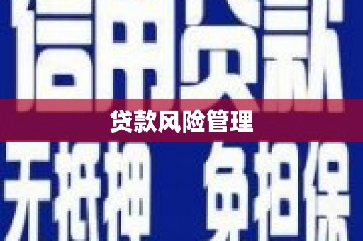 安吉贷款风险管理