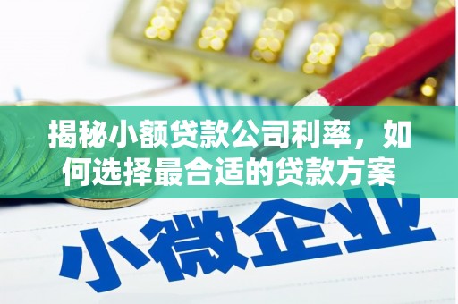 安吉揭秘小额贷款公司利率，如何选择最合适的贷款方案