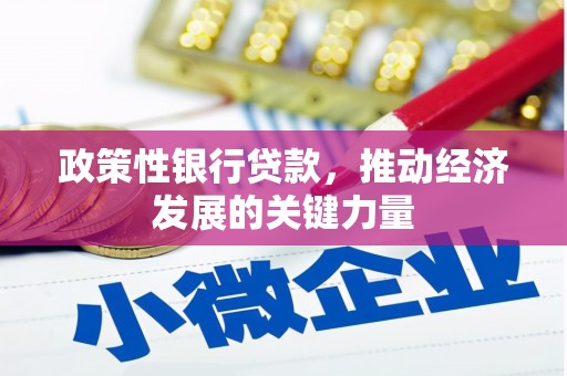 安吉政策性银行贷款，推动经济发展的关键力量