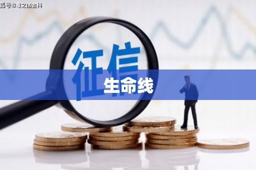安吉生命线