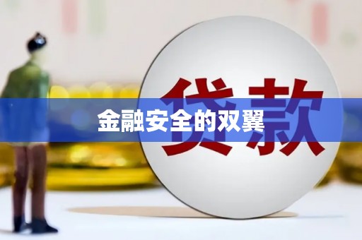 安吉金融安全的双翼
