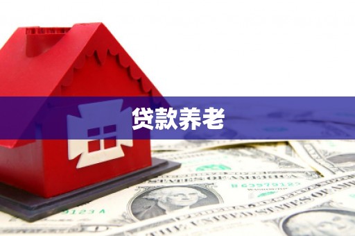 安吉贷款养老