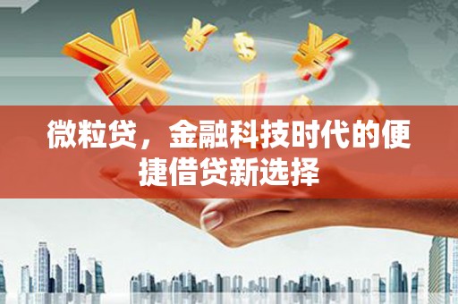 安吉微粒贷，金融科技时代的便捷借贷新选择