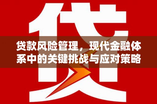 安吉贷款风险管理，现代金融体系中的关键挑战与应对策略