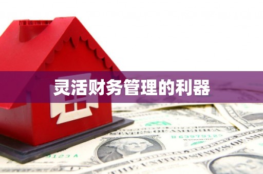 安吉灵活财务管理的利器
