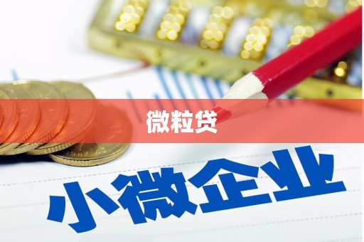 安吉微粒贷