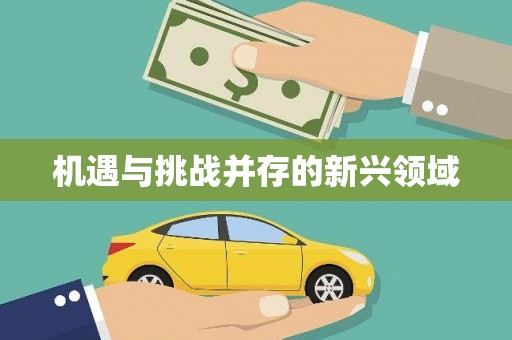 安吉机遇与挑战并存的新兴领域