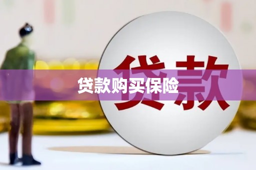 安吉贷款购买保险