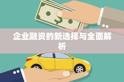 安吉企业融资的新选择与全面解析